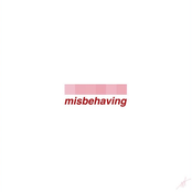 Misbehaving
