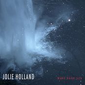 Dark Days by Jolie Holland