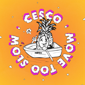 Cesco: Move Too Slow