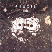 Babble Stream by Praxis