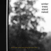 ... and hear one bird sing terribly afar