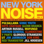 New York Noise, Vol. 2: Music From The New York Underground 1977 - 1984