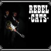 Rebel Cats: Rockabilly Y Algo Mas