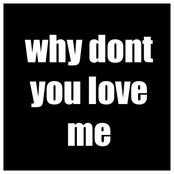 why dont you love me (single)