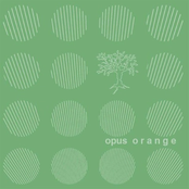 Crystal Clear by Opus Orange