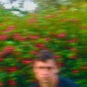 Keeping My Mind Quiet