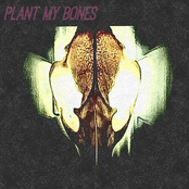 Higher Phase Lifeforms And The Starlight Mission