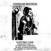 Electric Love: A Beginner's Guide To Extreme Sonic Lesbianism, or How I Stopped Quivering and Learned To Love Her Sting