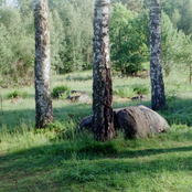 Expressions In Mixed Moods