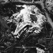 Split with Prelude to The Hunt