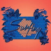 "Surfing"