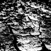 The Last Place I Remember