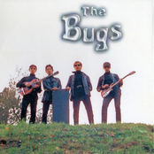 The Bugs