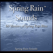 Spring Rain Sounds - 60 Minutes of Spring Rain Bliss