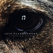 Jeff Plankenhorn: Sleeping Dogs