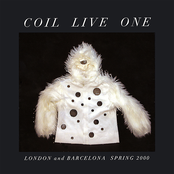 Chasms by Coil