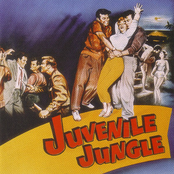Buffalo Bop Presents- Juvenile Jungle