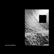Eternal Predator