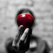 You Sleep, I'll Drive