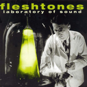 High On Drugs by The Fleshtones