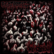 Agathocles / Marcio Dentro