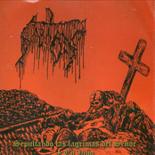 Sepultando las lagrimas del señor