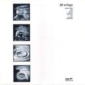 40 Wings