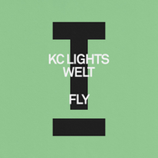 Fly - Single