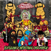 Flatulence Intestinal Discharge