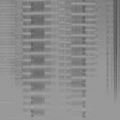 KEEP ON THE DISORDERLANDS