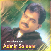 The Best Of Aamir Saleem