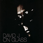 David J: On Glass: The Singles
