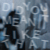 Did you mean it like that?