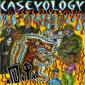 Caseyology