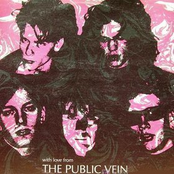 The Public Vein