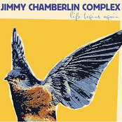 Jimmy Chamberlin: Life Begins Again