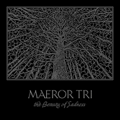 The Beauty of Sadness