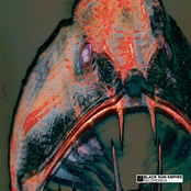 Black Sun Empire (BSE003)