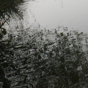 Either Side Of Absence