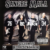 sangre mala