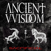 Sacrificial