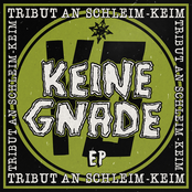 Tribut an Schleim-Keim