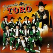 Banda Toro