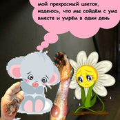 Мой прекрасный цветок, надеюсь, что мы сойдём с ума вместе и умрём в один день