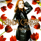 Loneliness Game by Belinda Carlisle