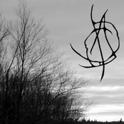 Desolate Desperation from Paradise