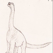 sauropodamorpha