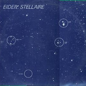 Eider Stellaire I