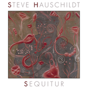 Sequitur by Steve Hauschildt