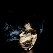 The Wolves Of Winter